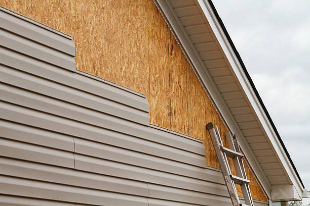 Professional Wood Siding technician working in Woodstock, OH